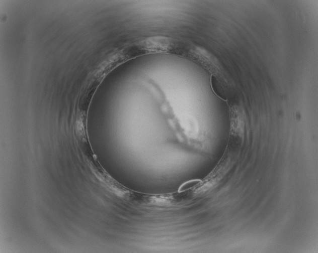 X0000068740573200605051454