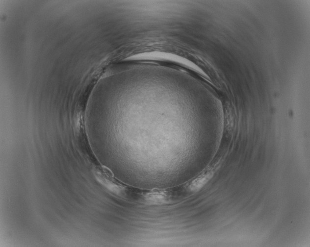 X0000068740574200605051454