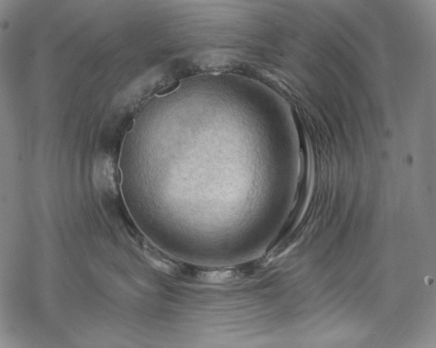 X0000068740575200605051454