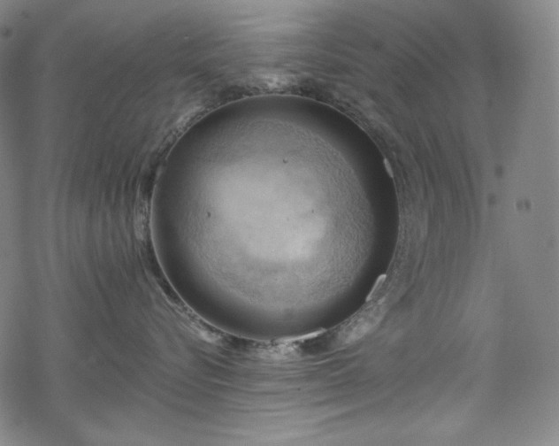 X0000068740576200605051454