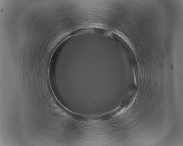 X0000068740577200605051453