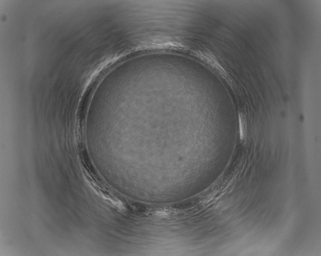 X0000068740579200605051453