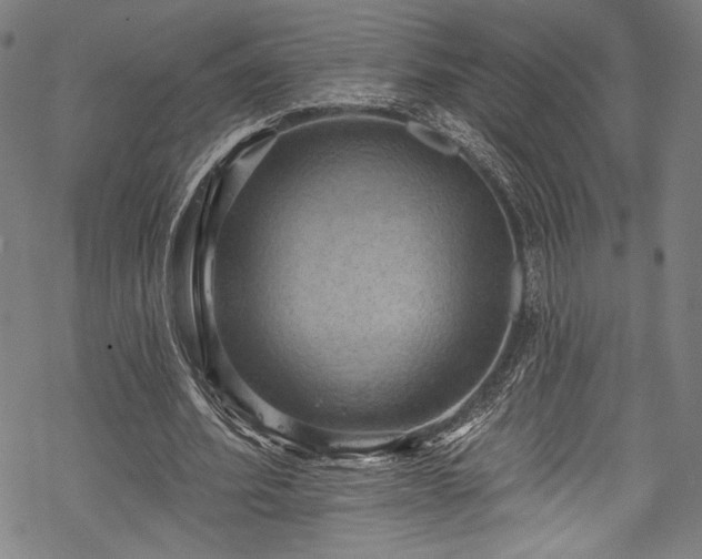 X0000068740580200605051453