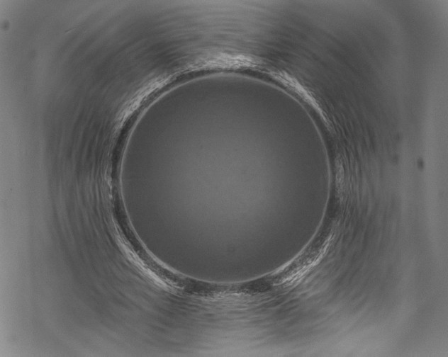 X0000068740581200605051453