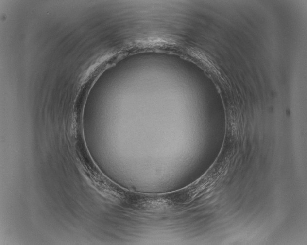 X0000068740583200605051453