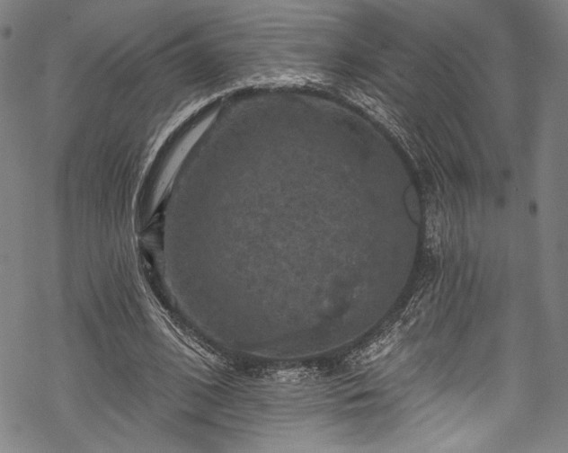 X0000068740584200605051453