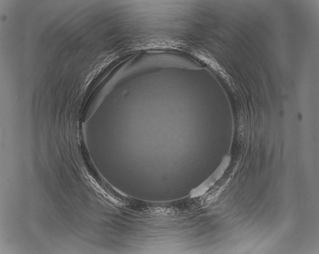 X0000068740585200605051453