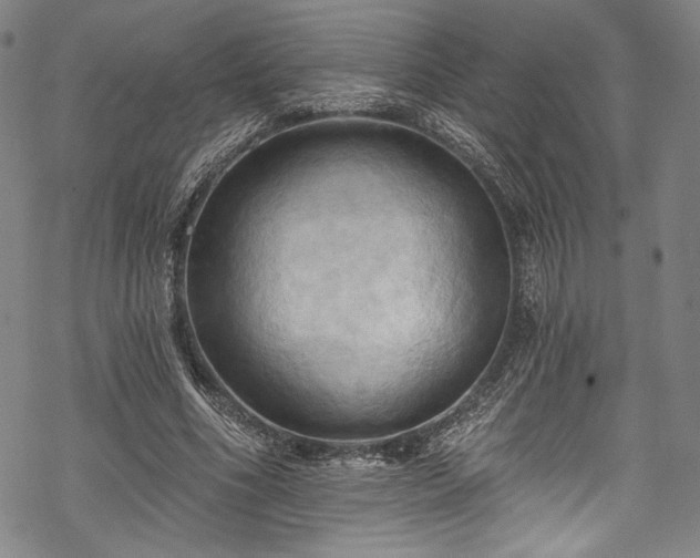 X0000068740586200605051453