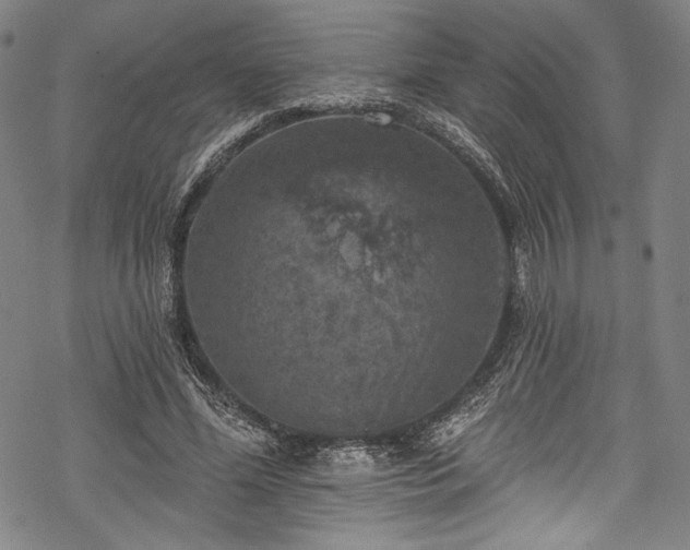 X0000068740588200605051453