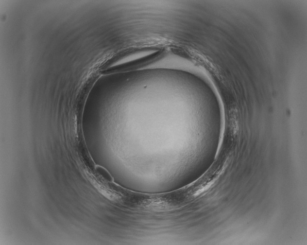 X0000068740589200605051453