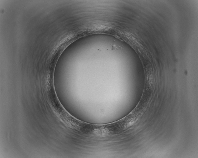 X0000068740591200605051453