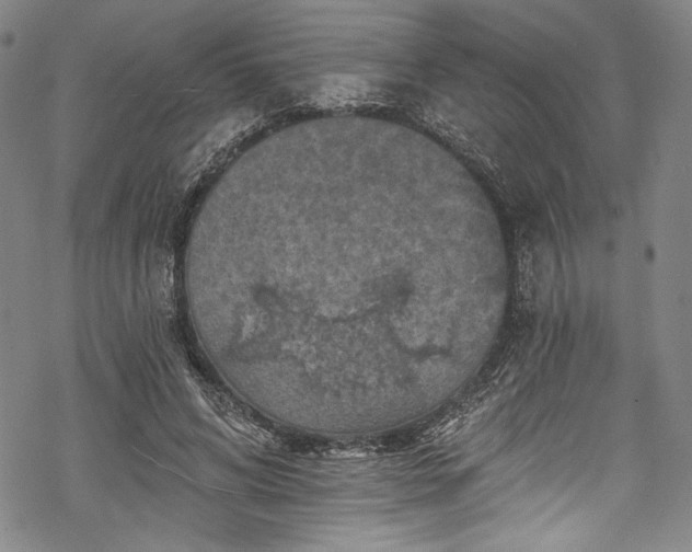 X0000068740592200605051453