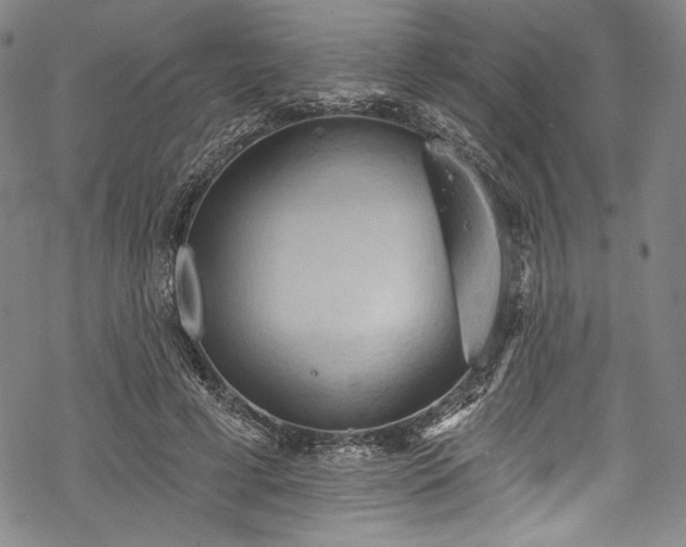 X0000068740593200605051453