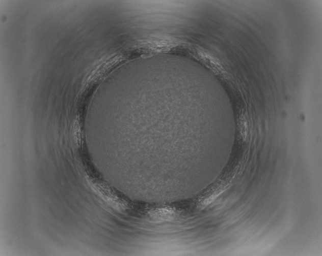 X0000068740594200605051453