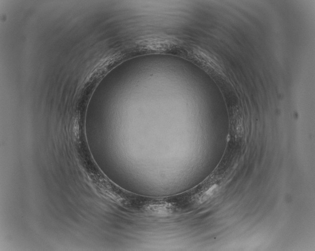 X0000068740595200605051453