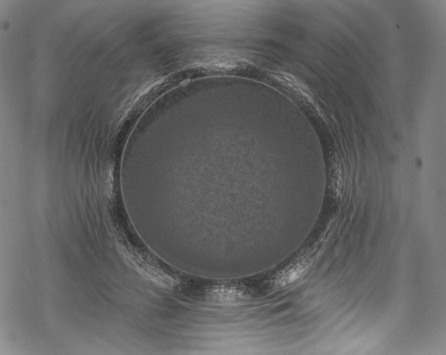 X0000068740596200605051453