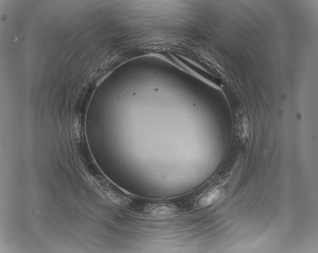 X0000068740597200605051453