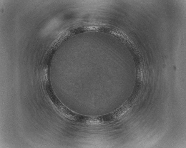 X0000068740598200605051453