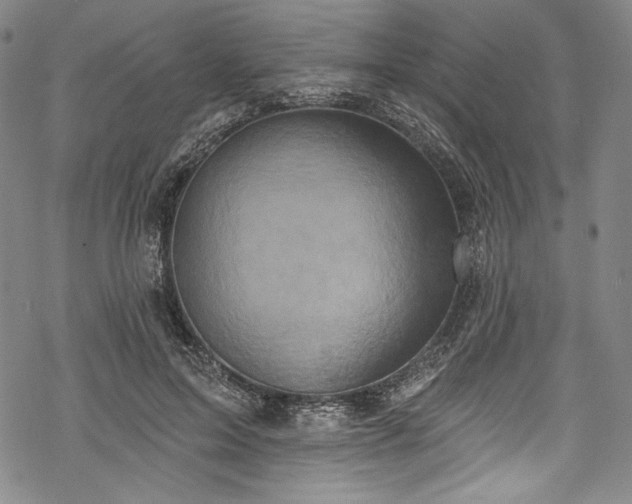 X0000068740599200605051453