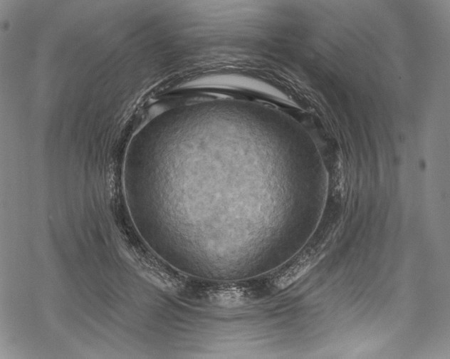 X0000068740600200605051453