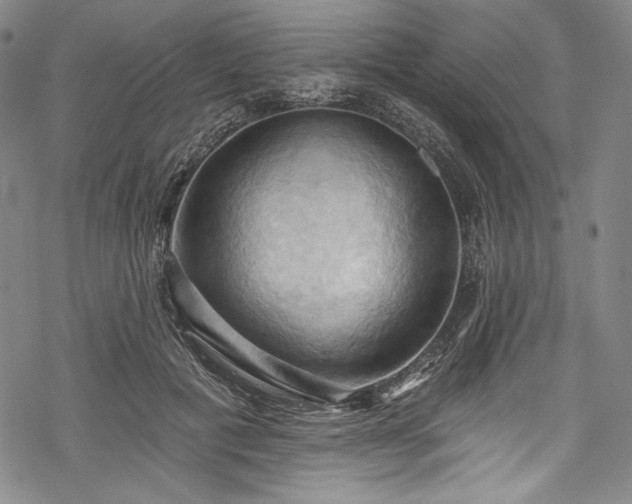 X0000068740601200605051453