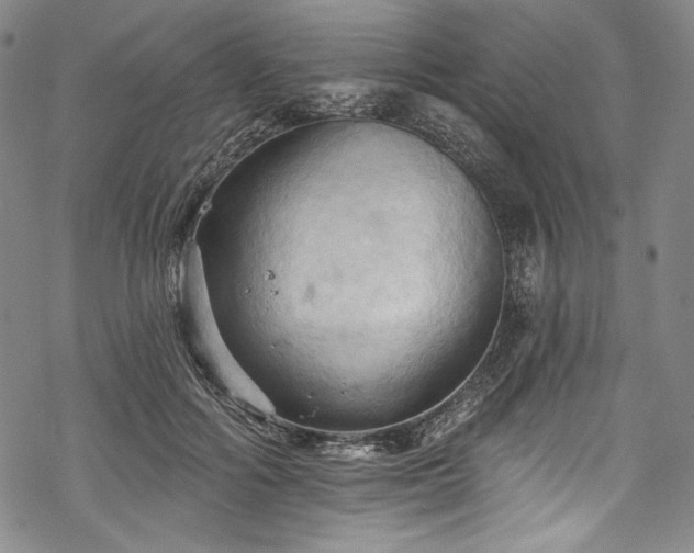 X0000068740602200605051453