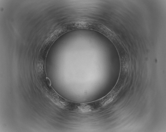 X0000068740603200605051453