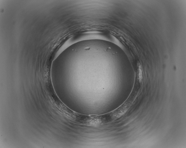 X0000068740604200605051453