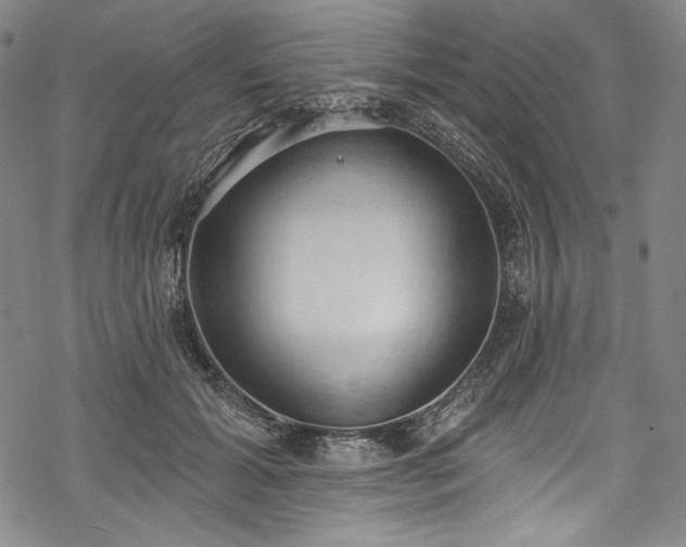 X0000068740605200605051453