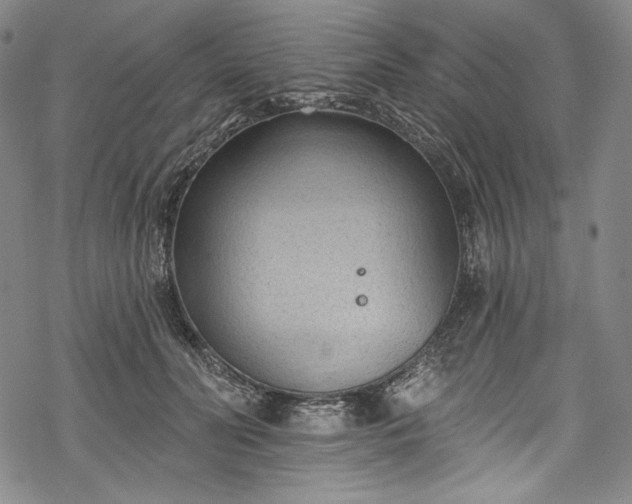 X0000068740606200605051453