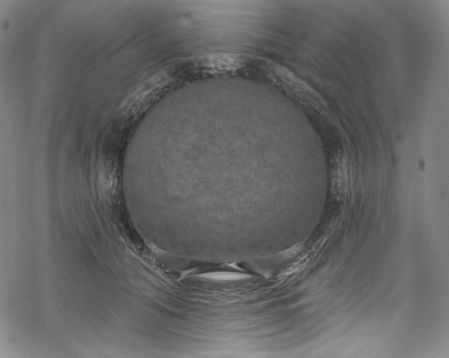 X0000068740608200605051453