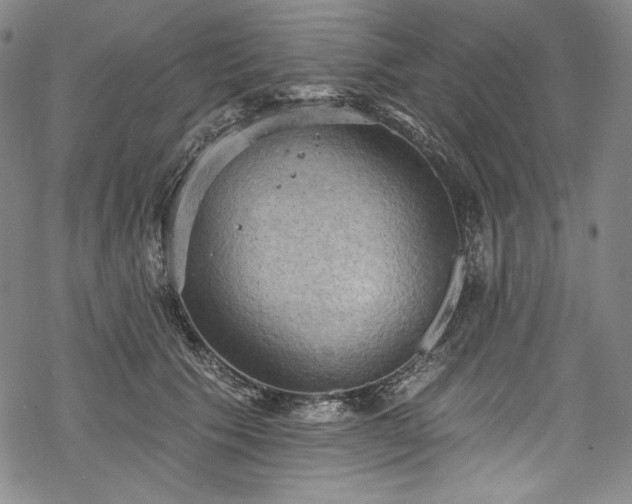 X0000068740609200605051453