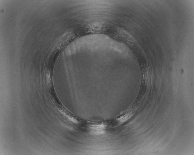 X0000068740610200605051453