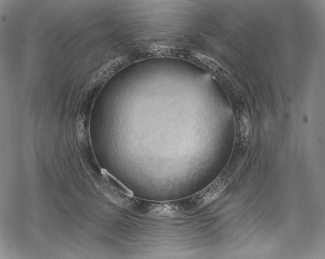 X0000068740611200605051453