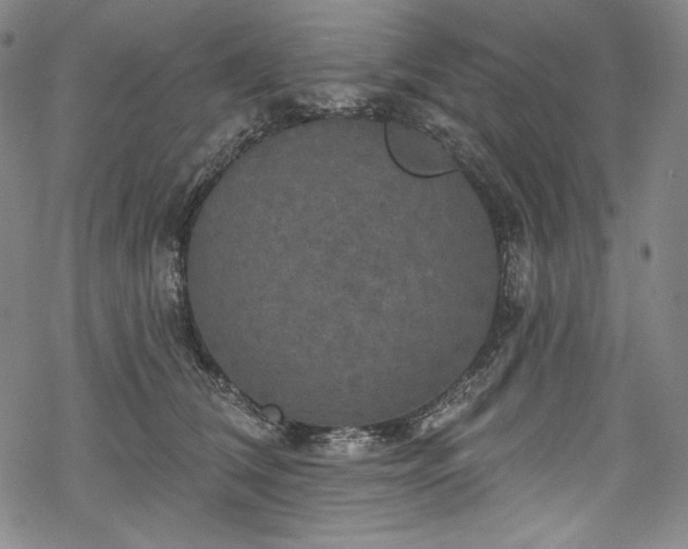 X0000068740612200605051453