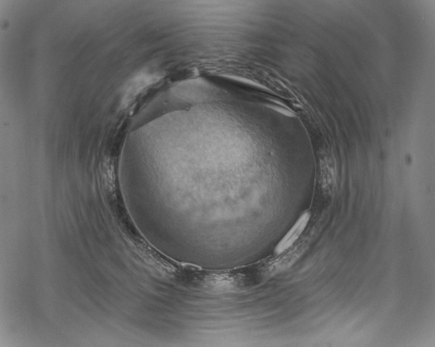 X0000068740613200605051453