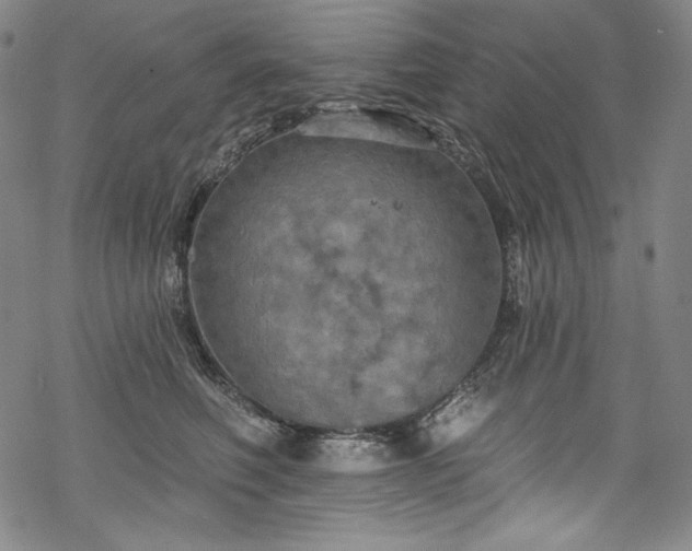 X0000068740614200605051453