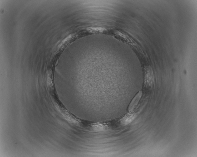 X0000068740616200605051453