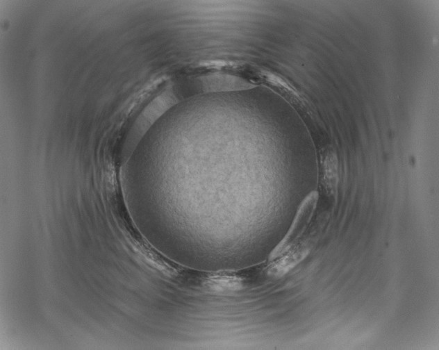 X0000068740617200605051453