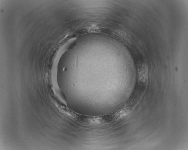 X0000068740618200605051453