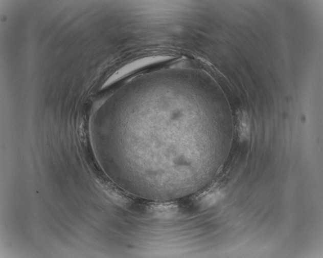 X0000068740619200605051453