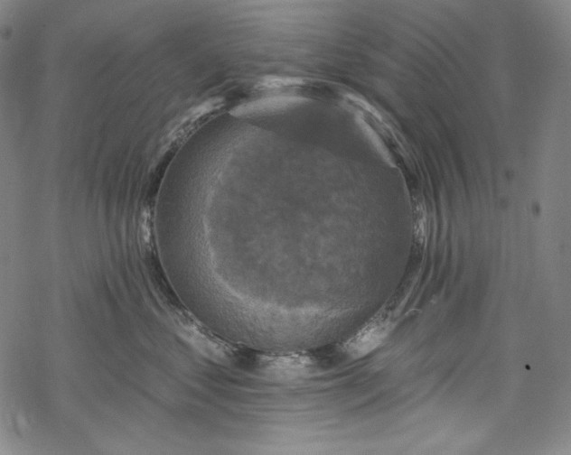 X0000068740621200605051452