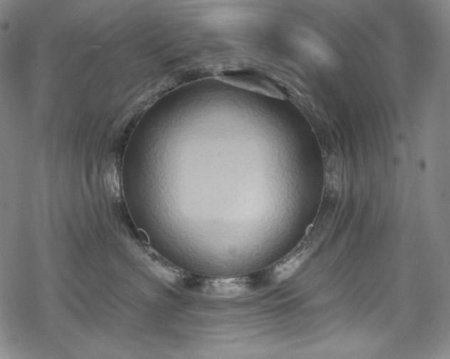 X0000068740622200605051452