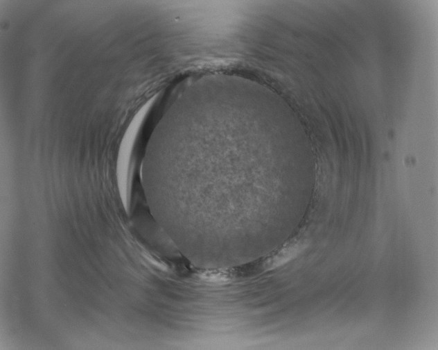 X0000068740624200605051452