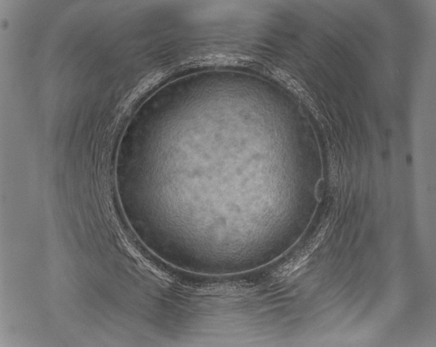 X0000068740625200605051452