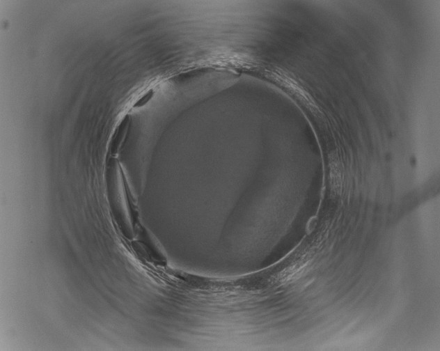 X0000068740626200605051452