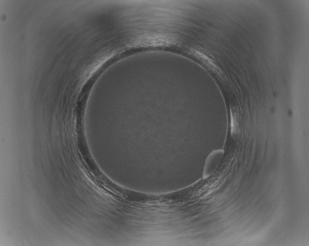 X0000068740627200605051452