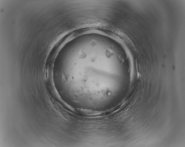 X0000068740628200605051452