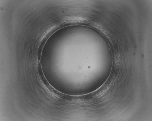 X0000068740629200605051452