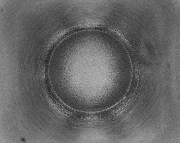 X0000068740631200605051452